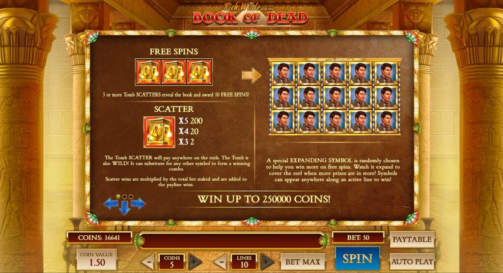Three Book symbols triggering the Free Spins feature in Book of Dead